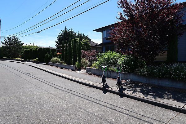 Seward Park S Spencer and 52nd Ave Sidewalks - 69
