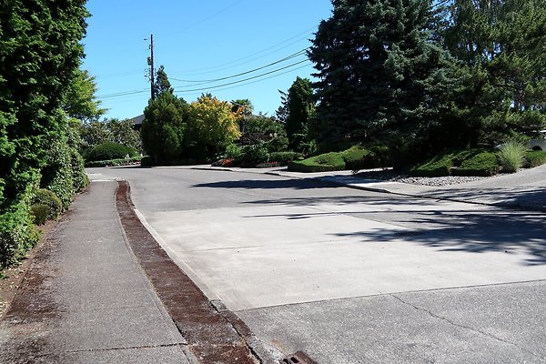 Seward Park S Spencer and 52nd Ave Sidewalks - 14