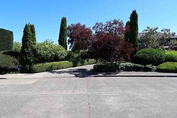 Seward Park S Spencer and 52nd Ave Sidewalks - 37