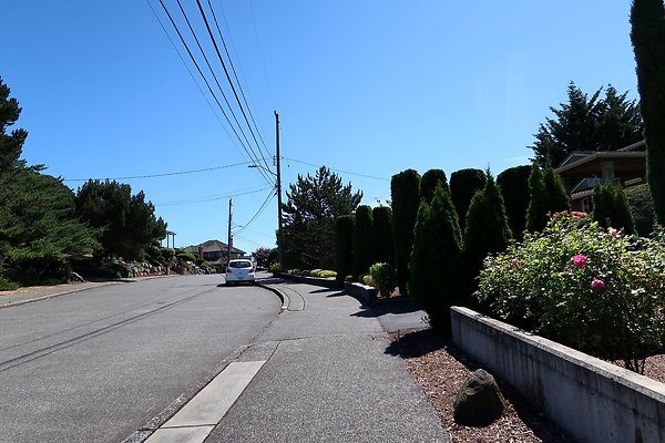 Seward Park S Spencer and 52nd Ave Sidewalks - 77