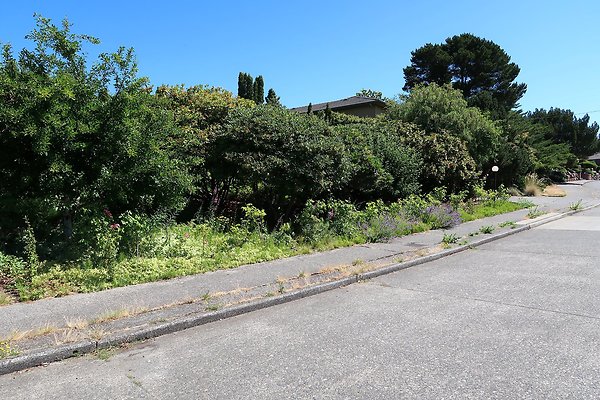 Seward Park S Spencer and 52nd Ave Sidewalks - 67