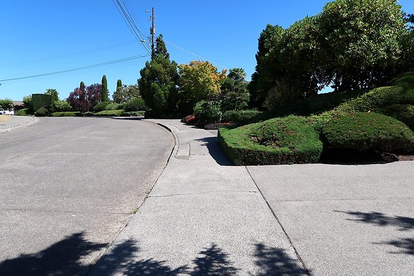 Seward Park S Spencer and 52nd Ave Sidewalks - 26