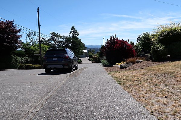 Seward Park S Spencer and 52nd Ave Sidewalks - 97