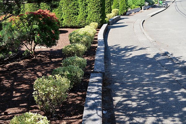 Seward Park S Spencer and 52nd Ave Sidewalks - 90