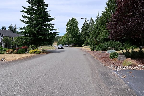 Woodinville neighborhoods NOT CLEAR YET - 41