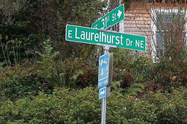 Laurelhurst drone shot - 56