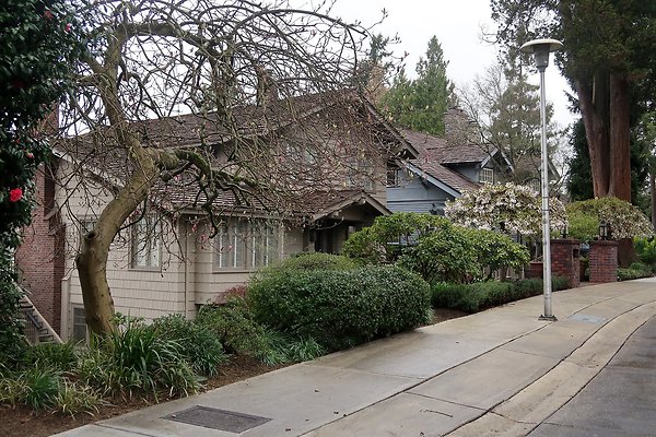 Laurelhurst drone shot - 147