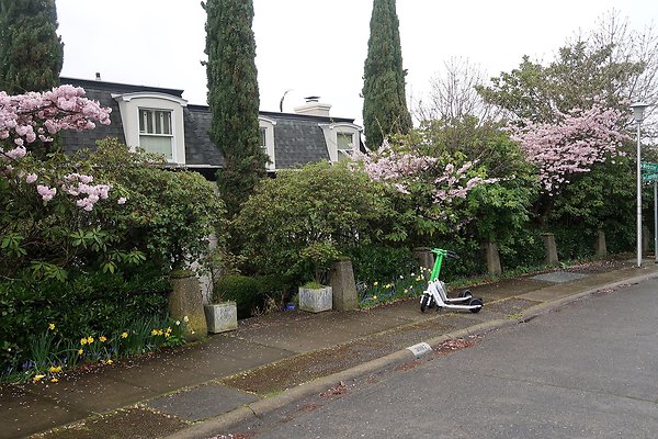 Laurelhurst drone shot - 118