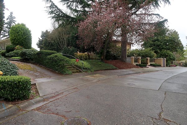 Laurelhurst drone shot - 250