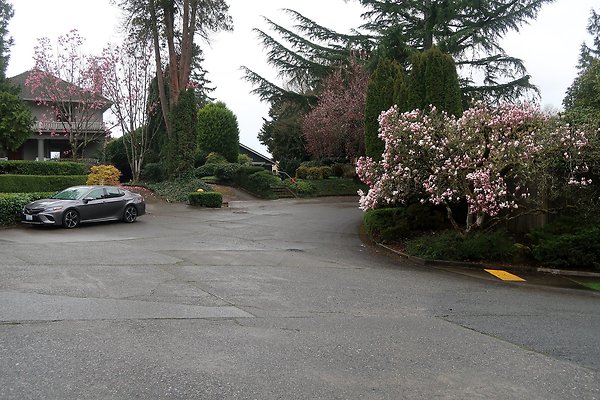 Laurelhurst drone shot - 221