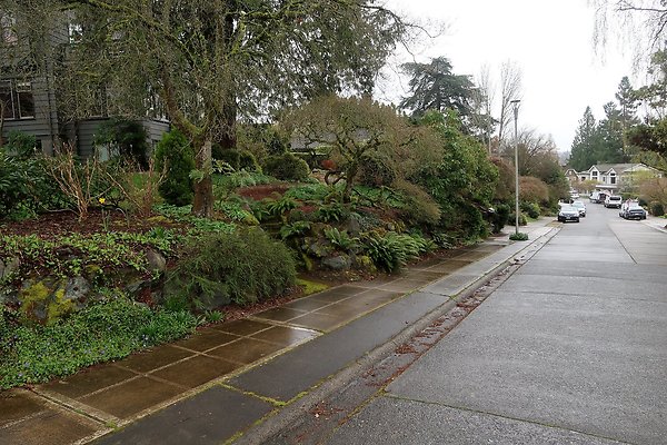 Laurelhurst drone shot - 205