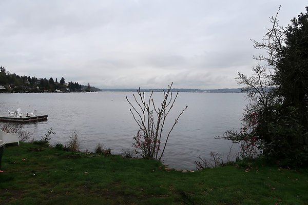Laurelhurst drone shot - 62