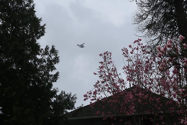 Laurelhurst drone shot - 284