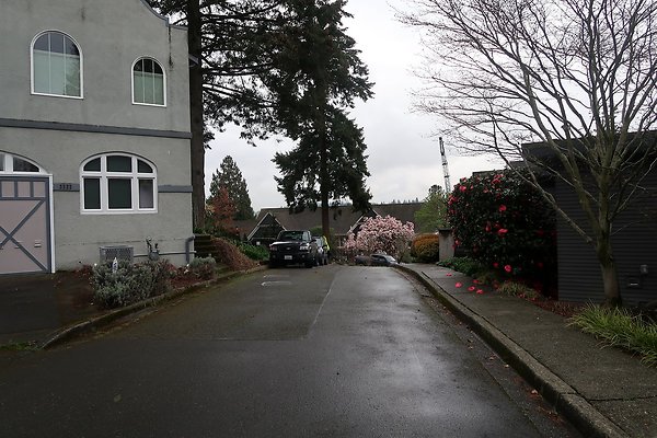 Laurelhurst drone shot - 229