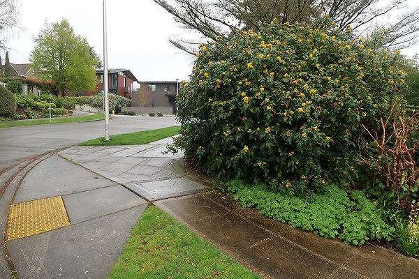 Laurelhurst drone shot - 212