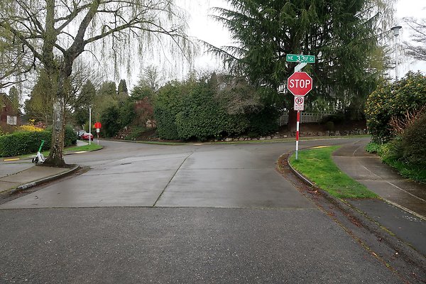 Laurelhurst drone shot - 202
