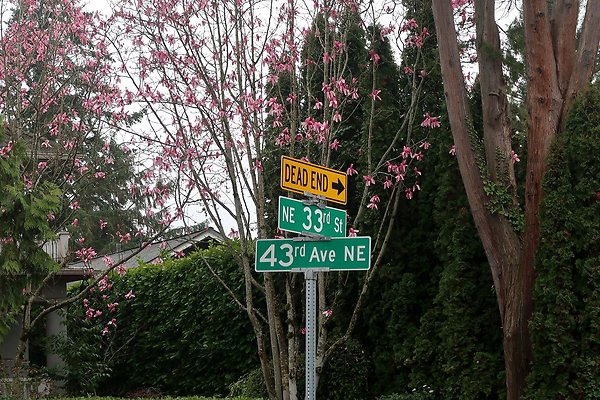 Laurelhurst drone shot - 224