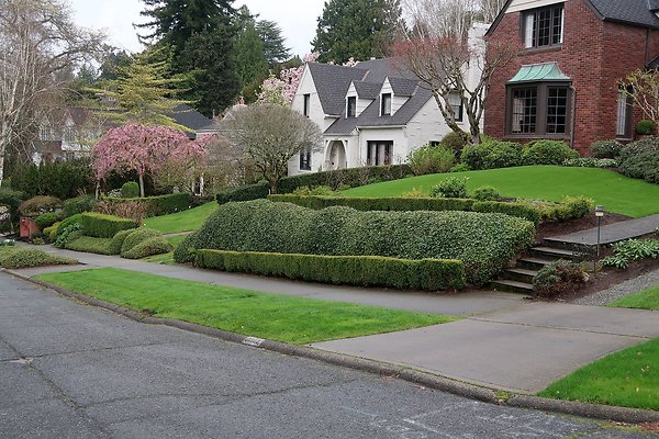 Laurelhurst drone shot - 278