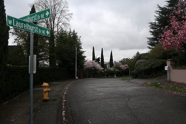 Laurelhurst drone shot - 111
