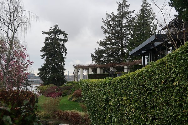 Laurelhurst drone shot - 195
