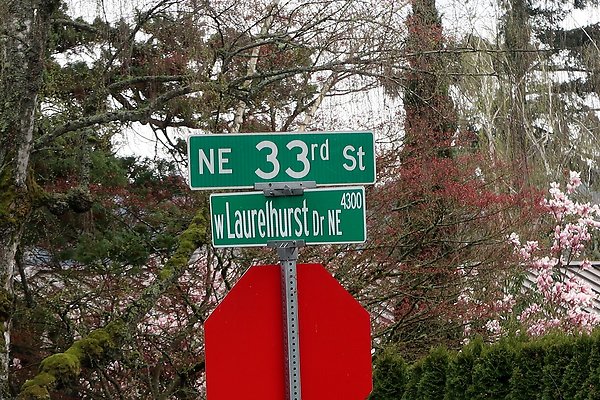 Laurelhurst drone shot - 5