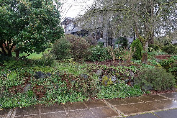Laurelhurst drone shot - 204