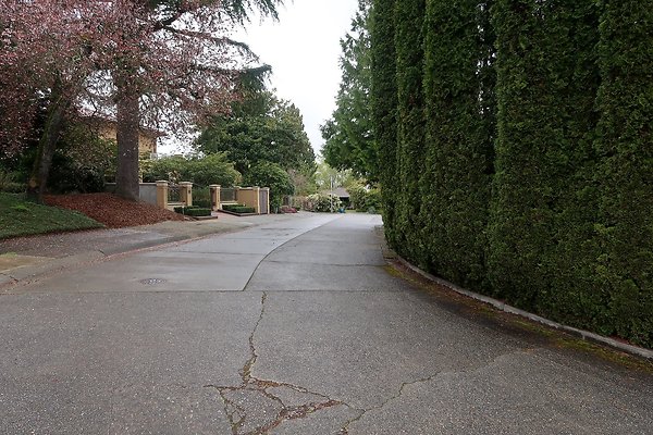 Laurelhurst drone shot - 251