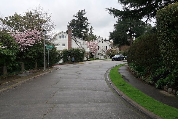 Laurelhurst drone shot - 119