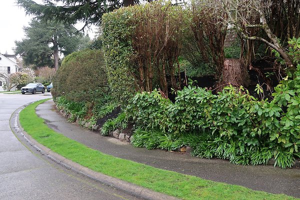 Laurelhurst drone shot - 120