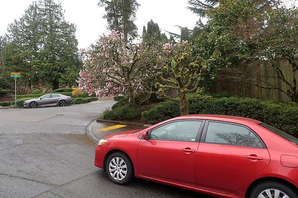 Laurelhurst drone shot - 283