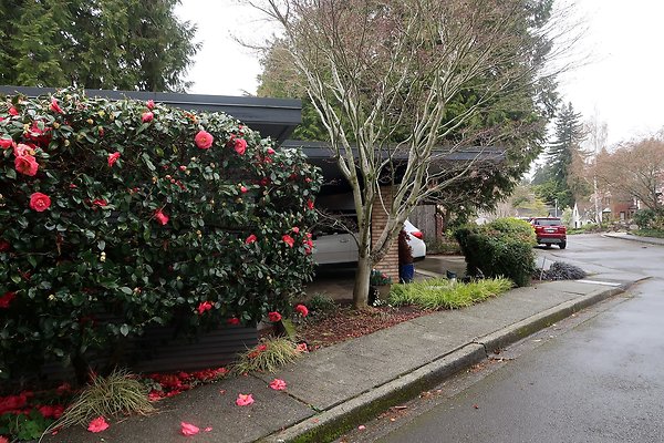 Laurelhurst drone shot - 244