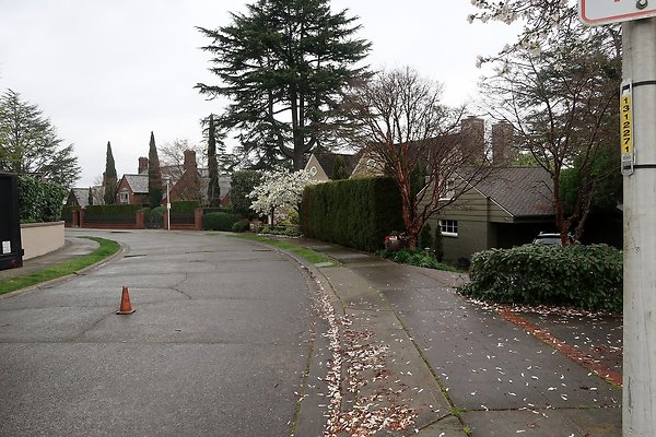 Laurelhurst drone shot - 109