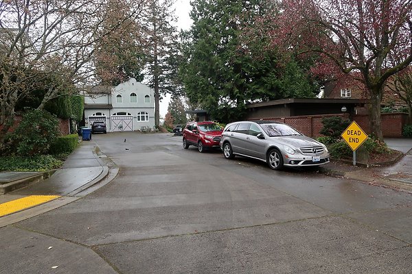 Laurelhurst drone shot - 225