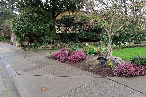 Laurelhurst drone shot - 272
