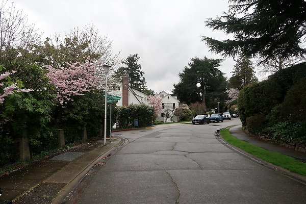 Laurelhurst drone shot - 121