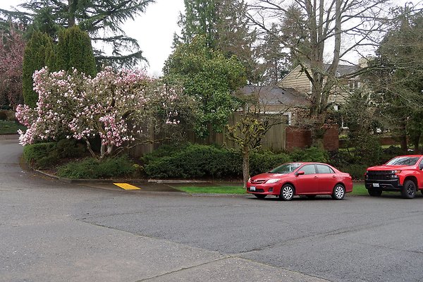 Laurelhurst drone shot - 222