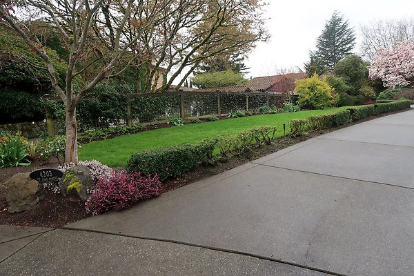 Laurelhurst drone shot - 273