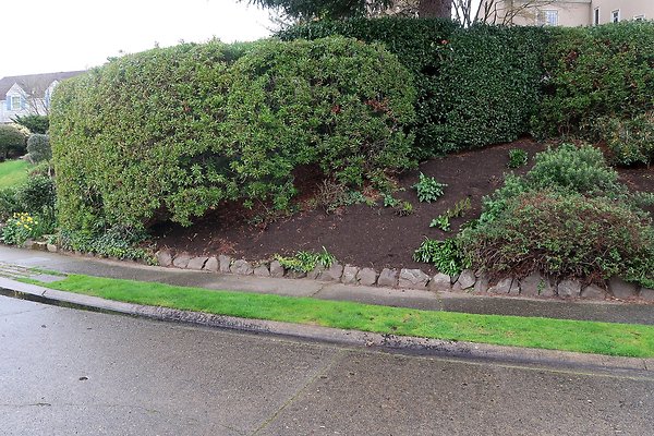 Laurelhurst drone shot - 126