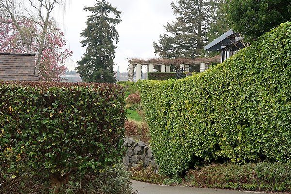 Laurelhurst drone shot - 193