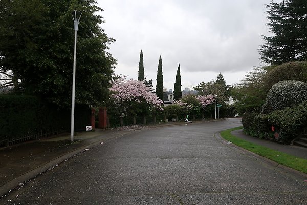 Laurelhurst drone shot - 112