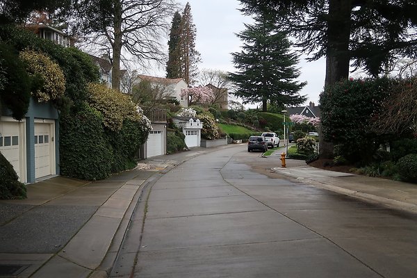 Laurelhurst drone shot - 153