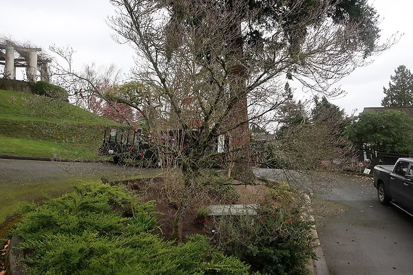Laurelhurst drone shot - 242