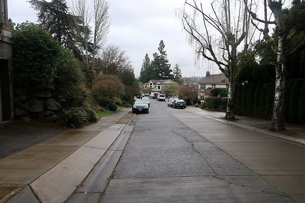 Laurelhurst drone shot - 198