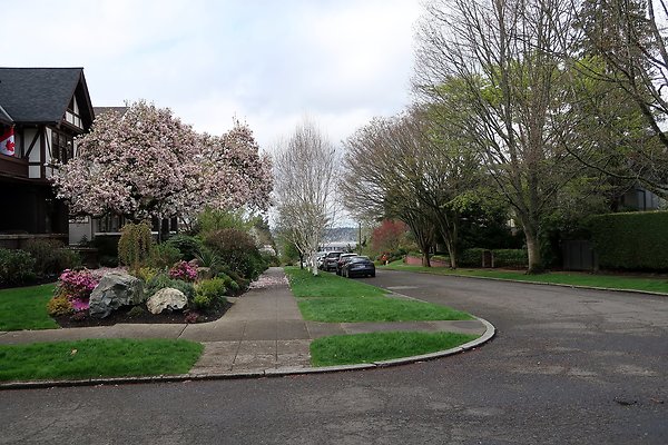 Capitol Hill Residental neighborhood - 10