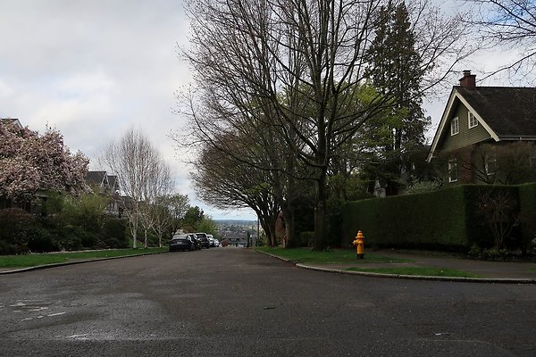 Capitol Hill Residental neighborhood - 16