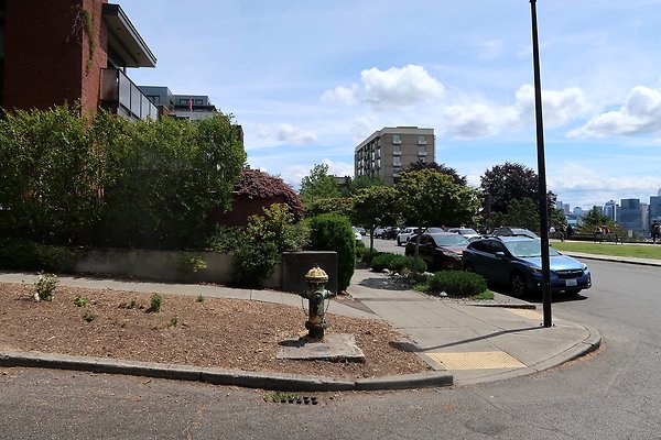 Kerry Park Car Placement 2025 - 28