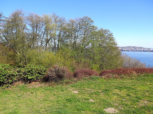 Hamilton viewpoint park - 14