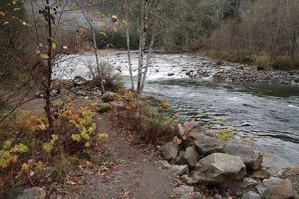 Middle Fork Campsite 2