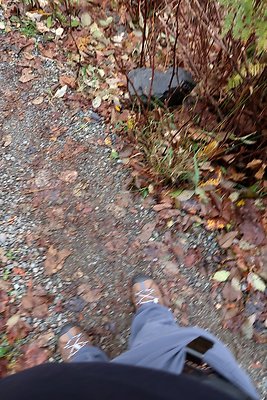 Middle Fork Campsite 2 - 6