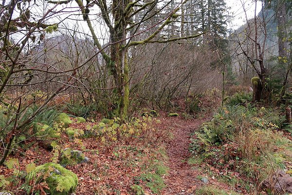 Middle Fork Campsite 2 - 8